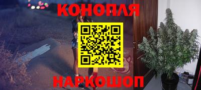 трава Будённовск