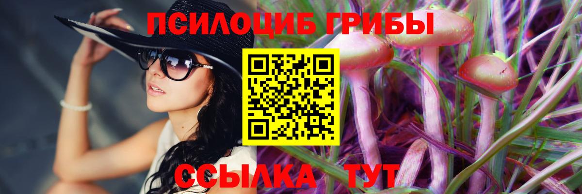Галлюциногенные грибы Magic Shrooms Челябинск